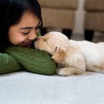 Top 10 Things to Know Before Adopting a Puppy
